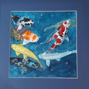 koi fish
