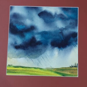 vrystaat storm