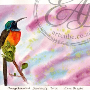 Orange breasted sunbird